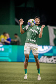 Campeonato Brasileiro Srie A1 - Palmeiras x Botafogo