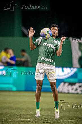 Campeonato Brasileiro Srie A1 - Palmeiras x Botafogo