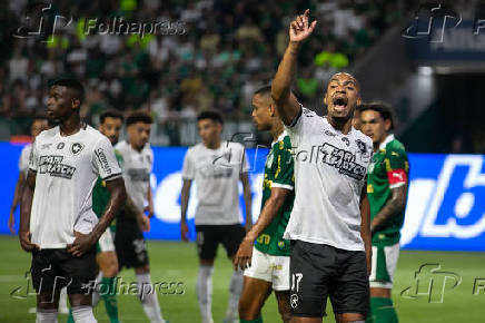 Partida entre Palmeiras e Botafogo