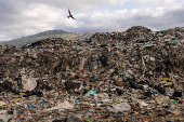 Plastic Pollution in the Philippines