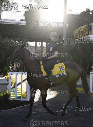 Horse Racing: Breeders' Cup Championship-Workouts