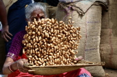 Annual groundnut fair in Bangalore