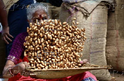 Annual groundnut fair in Bangalore