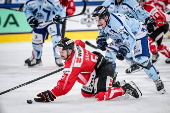 Spengler Cup 2024 - Team Canada vs Straubing Tigers