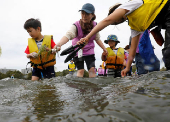 A project to restore the natural ecosystem in Yokohama