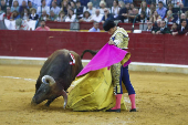 Feria taurina del Pilar de Zaragoza