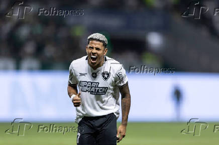 Palmeiras-Botafogo: Campeonato Brasileiro Serie A