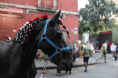 Military parade to celebrate the Independence Day hosted by President Lopez Obrador, in Mexico City