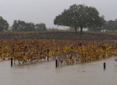 Northern California storms