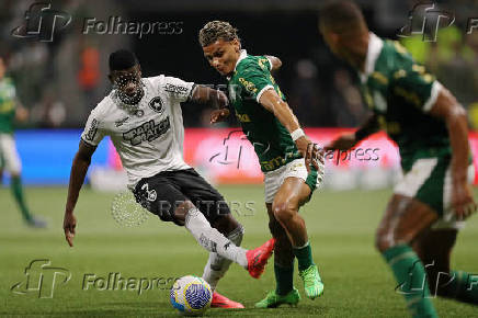 Brasileiro Championship - Palmeiras v Botafogo