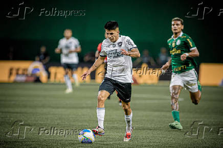 Campeonato Brasileiro Srie A1 - Palmeiras x Botafogo