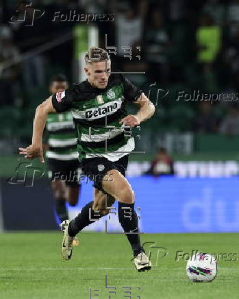 First League - Sporting CP vs AVS Futebol SAD