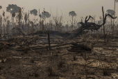 Especial queimadas, seca e clima seco no pas