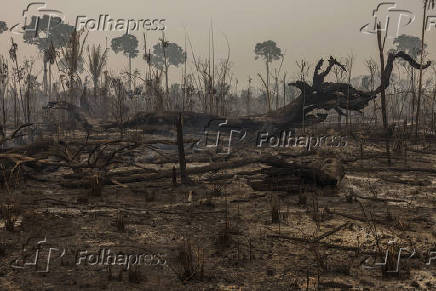 Especial queimadas, seca e clima seco no pas