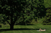 Sunbathers in the Washington DC region