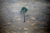 FILE PHOTO: An aerial view shows a deforested plot of the Amazon near Porto Velho