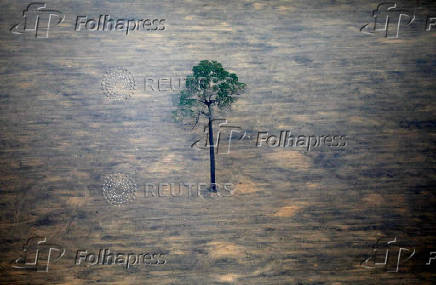 FILE PHOTO: An aerial view shows a deforested plot of the Amazon near Porto Velho