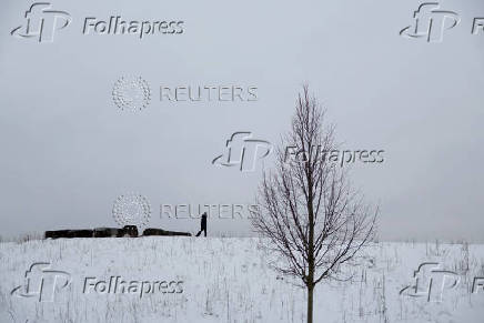 A woman walks at Koksabukta nature reserve in Fornebu, outside Oslo