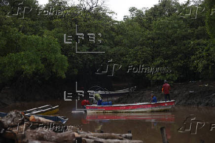 Manglares, el desafo de Panam en conservarlos y aprovechar sus servicios ambientales