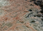 Praia do Leme, no Rio de Janeiro com s aguas na cor avermelhada