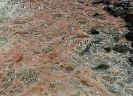 Praia do Leme, no Rio de Janeiro com s aguas na cor avermelhada