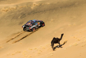 Dakar Rally - Stage 2 - Bisha to Bisha