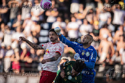 Red Bull Bragantino e Palmeiras