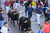 Arranca en San Sebastin de los Reyes la temporada de encierros taurinos en Espaa