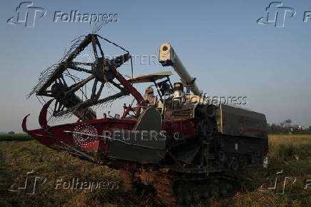 A farmer uses a paddy harvester in a rice field in Kalampura village