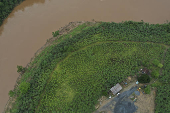Vista de drone do Rio Ribeira de Iguape e plantao de bananas