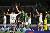 Palmeiras x Atltico MG - Campeonato Brasileiro 2024