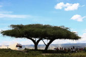WRC Safari Rally Kenya - day 2
