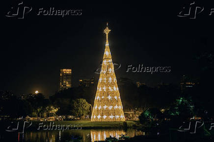 Show das guas da rvore de Natal do Parque Ibirapuera