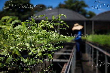 Negcios verdes crescem e miram mercado bilionrio no pas