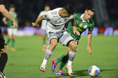 Partida entre PALMEIRAS X ATLTICO MG pelo Campeonato Brasileiro