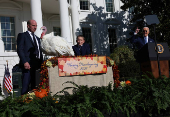 U.S. President Biden pardons the ThanksgivingTurkeys during the annual ceremony at the White House in Washington