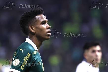 BRASILEIRO A 2024, PALMEIRAS X BOTAFOGO