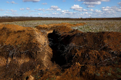 FILE PHOTO: Ukraine's farmers sow bitter crop into mined fields