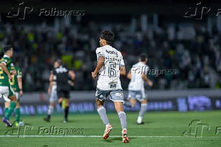 Palmeiras X Atltico MG