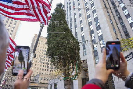 Rockefeller Christmas tree arrives to Rockefeller Center in New York