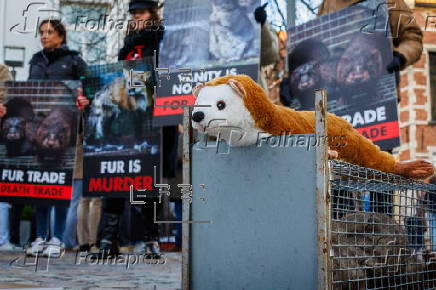 Anti-fur protest in Antwerp