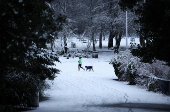 Heavy snow in Liverpool amidst warnings for snow and ice across Britain