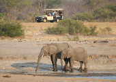 FILE PHOTO: Tourists look at a group of elephants at the Hwange National Park