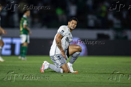 PALMEIRAS X ATLETICO MINEIRO ? CAMPEONATO BRASILEIRO 2024