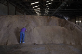 Agricultor de La Albufera: 