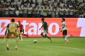 Partida entre PALMEIRAS X BOTAFOGO pelo Campeonato Brasileiro