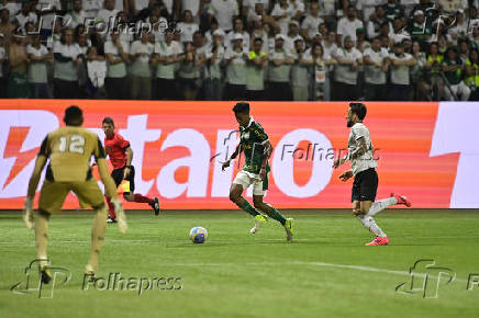 Partida entre PALMEIRAS X BOTAFOGO pelo Campeonato Brasileiro