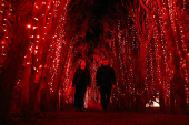 Bogot enciende la Navidad con el 'Festival de luces Brilla', alusivo al medio ambiente