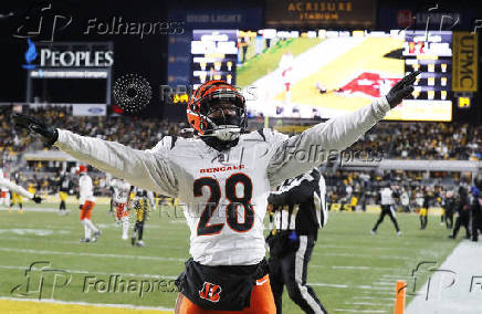 NFL: Cincinnati Bengals at Pittsburgh Steelers