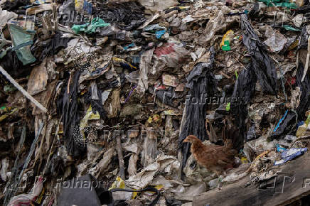 Plastic Pollution in the Philippines